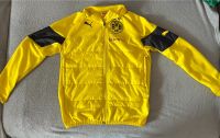 BVB Jacke Puma Niedersachsen - Nienburg (Weser) Vorschau