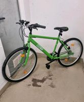 Fahrrad grün Sachsen-Anhalt - Staßfurt Vorschau