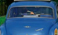 Oldtimer DDR Wartburg 311 312 Heckscheibe Sachsen-Anhalt - Klinke Vorschau
