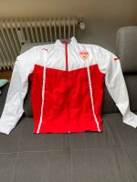 VfB Windjacke Stuttgart - Weilimdorf Vorschau