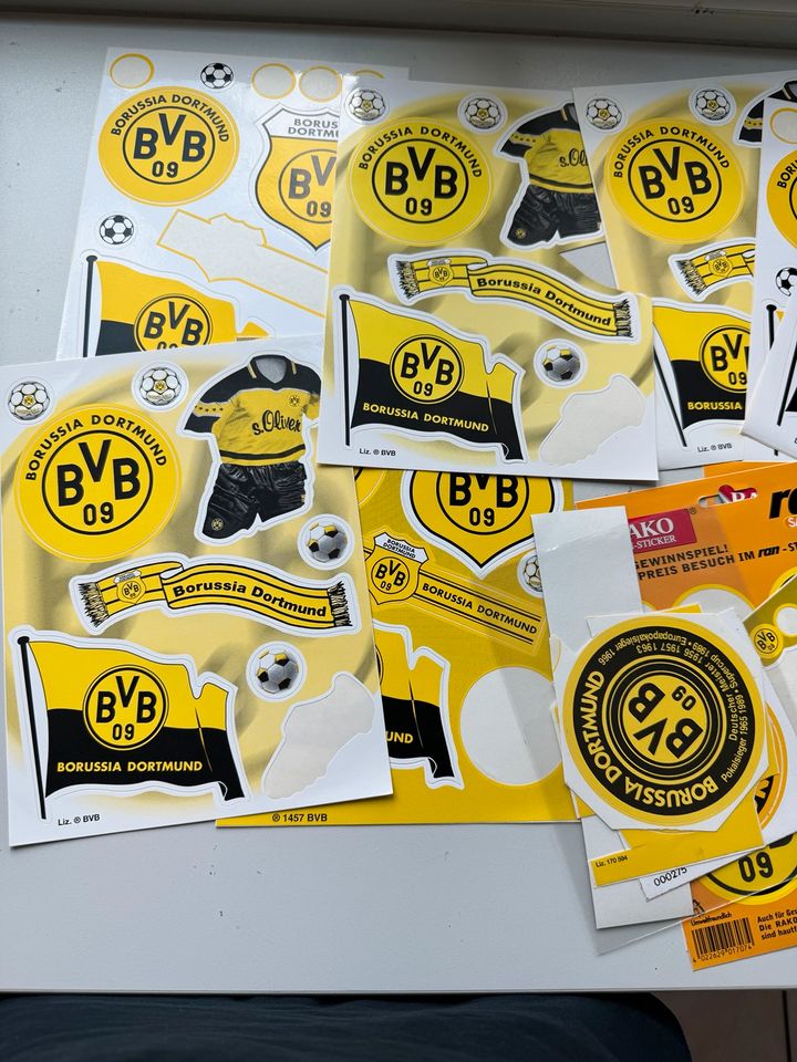BVB Sammlung Autogrammkarten/Briefe Sticker in Dortmund