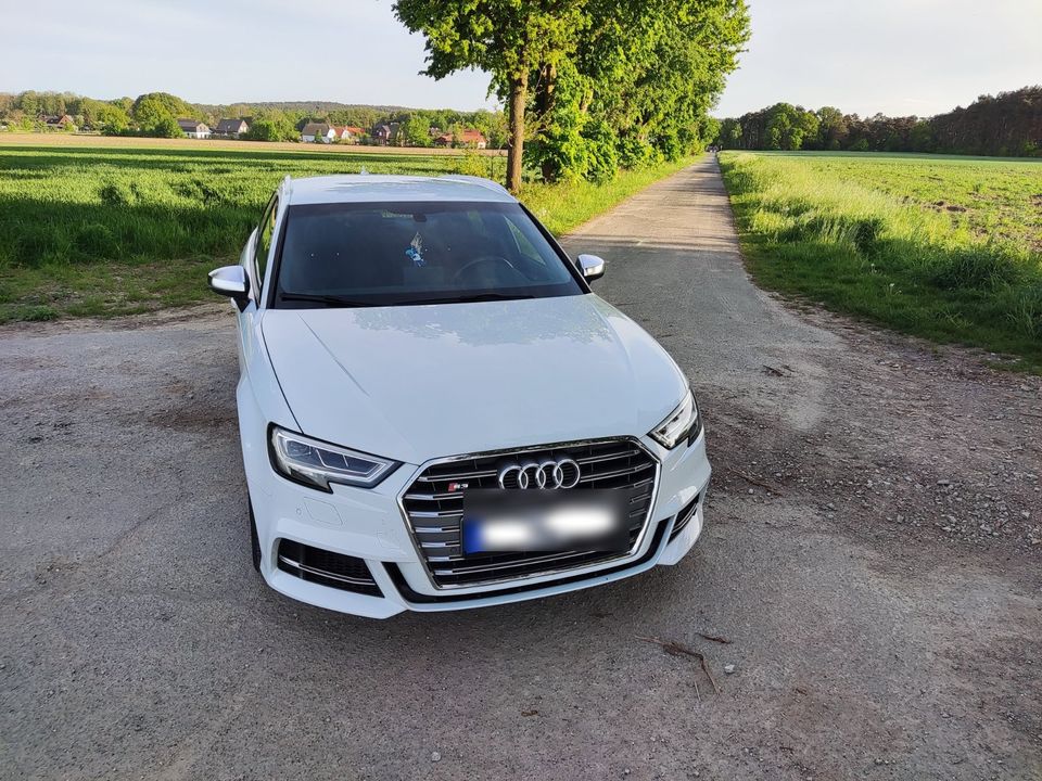 Audi S3 8V Sportback in Karwitz