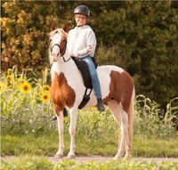 Barefoot Ride-on-Pad-Physio-Erwachsene-Kids-div. Reitkissen-NEU Niedersachsen - Harpstedt Vorschau