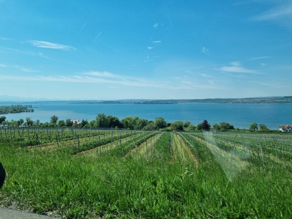 KfW40+ Attraktives Reihenendhaus mit Seeblick! in Lindau