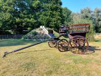 Kutsche für Endmaßponies / Haflinger (Wagonette) Niedersachsen - Fredenbeck Vorschau