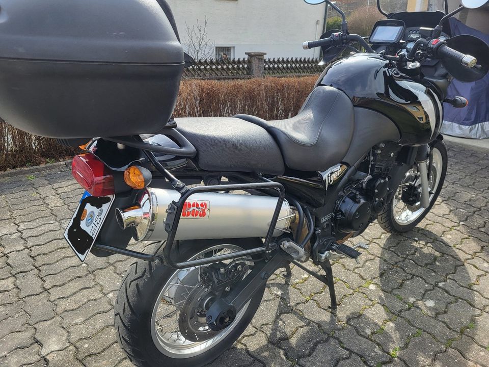 Triumph Tiger 955i in Kronach