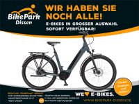 Winora Elektro-Fahrrad Sinus R8Ef Bosch 500 8-G Nabe Riemen 2024 Niedersachsen - Dissen am Teutoburger Wald Vorschau