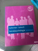 Sozialpsychologie -Gollwitzer - Schmitt Schleswig-Holstein - Stakendorf Vorschau