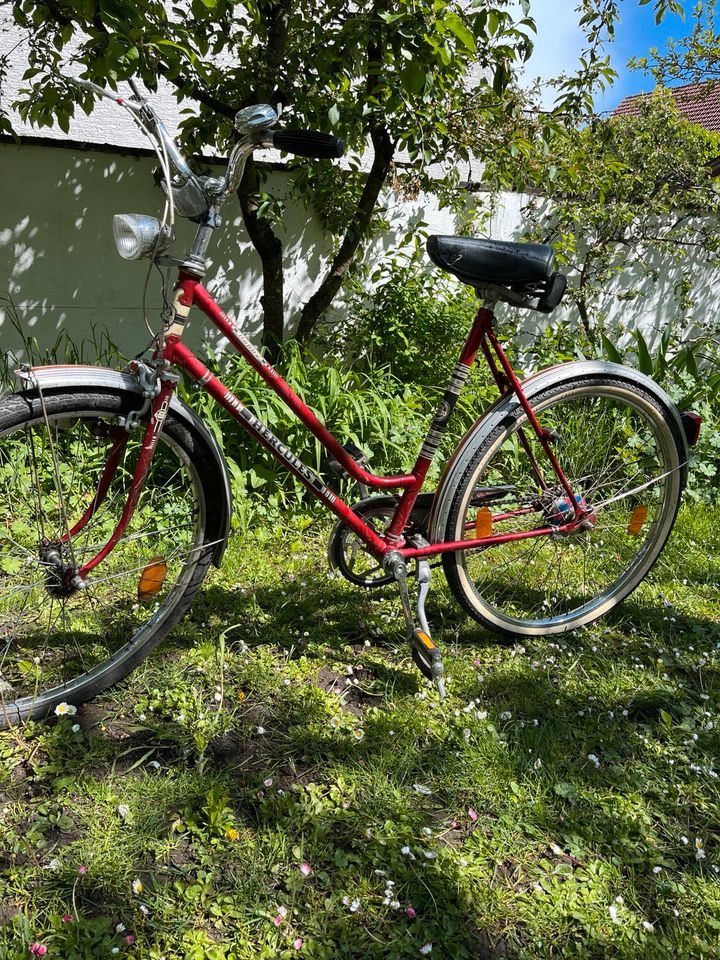 Hercules Fahrrad in Dreieich