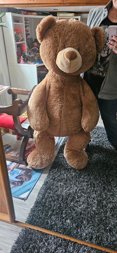 Xxl Teddybär in Hofheim am Taunus