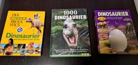 ☆ DINOSAURIER BÜCHER ☆ Thüringen - Niederorschel Vorschau