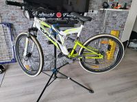 26 zoll Fahrrad Rheinland-Pfalz - Büchenbeuren Vorschau