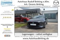 Mazda 3 Selection 122PS Design+ACT-Paket Bose Leder Bayern - Lauf a.d. Pegnitz Vorschau