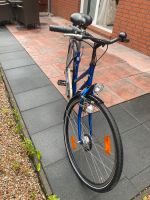 Fahrrad 28 Zoll Schleswig-Holstein - Bargfeld-Stegen Vorschau