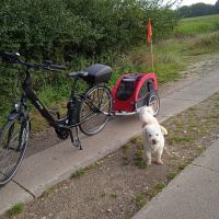 Fahrradanhänger Hund Trixi Schleswig-Holstein - Hohenaspe Vorschau