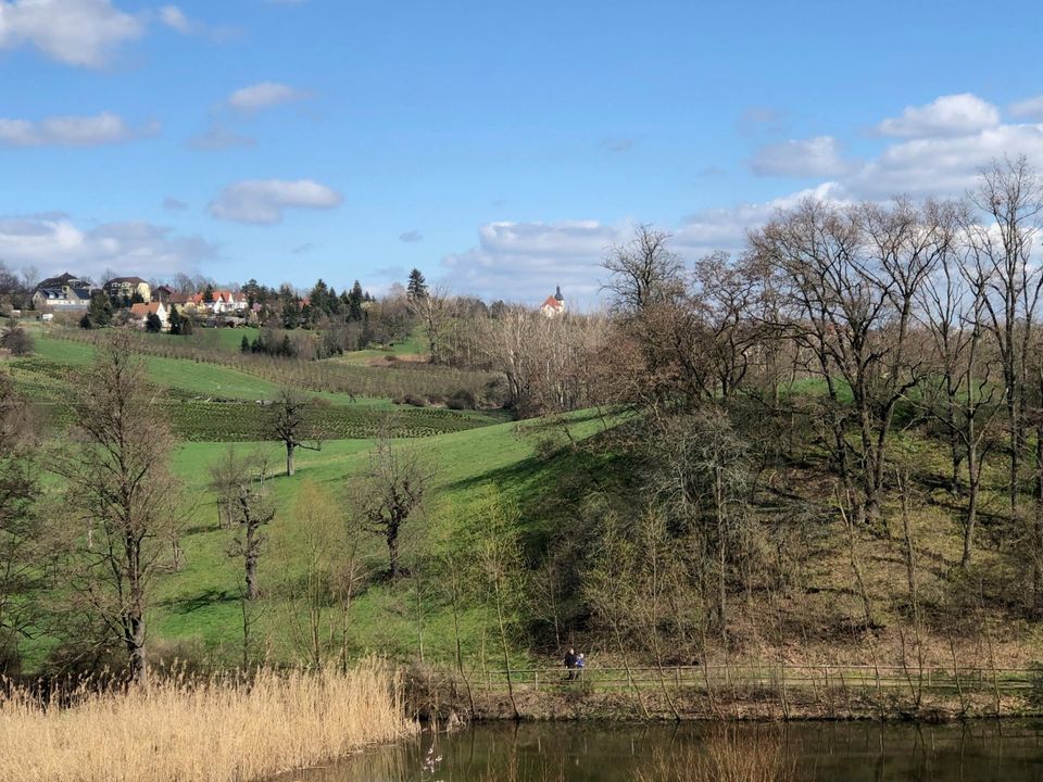 vermietete 3-Raum-Wohnung mit Terrasse in einem 3-Familienhaus in Freital