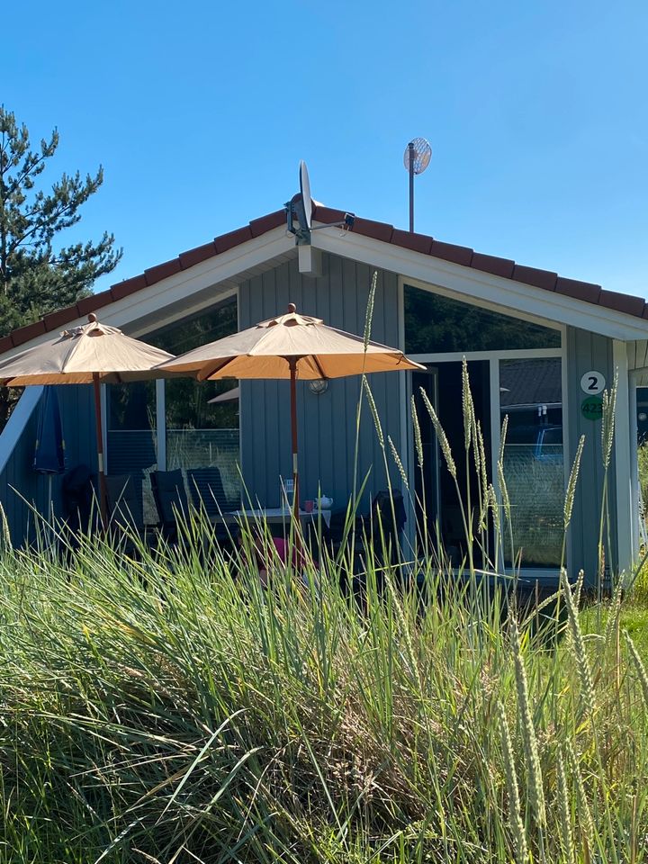 Ferienhaus Ostsee  Priwall / Travemünde Lütt Dünhüs in Bargfeld-Stegen