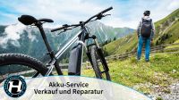 Zustandsanalyse für Bosch E-Bike-Akkus mit Kapazitätstest Hessen - Mühlheim am Main Vorschau