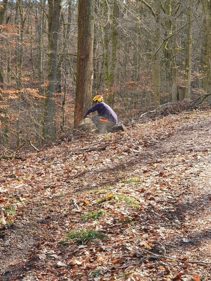 Gartenpflege, Baumfällung, Rodung, Winterdienst in Wolfstein