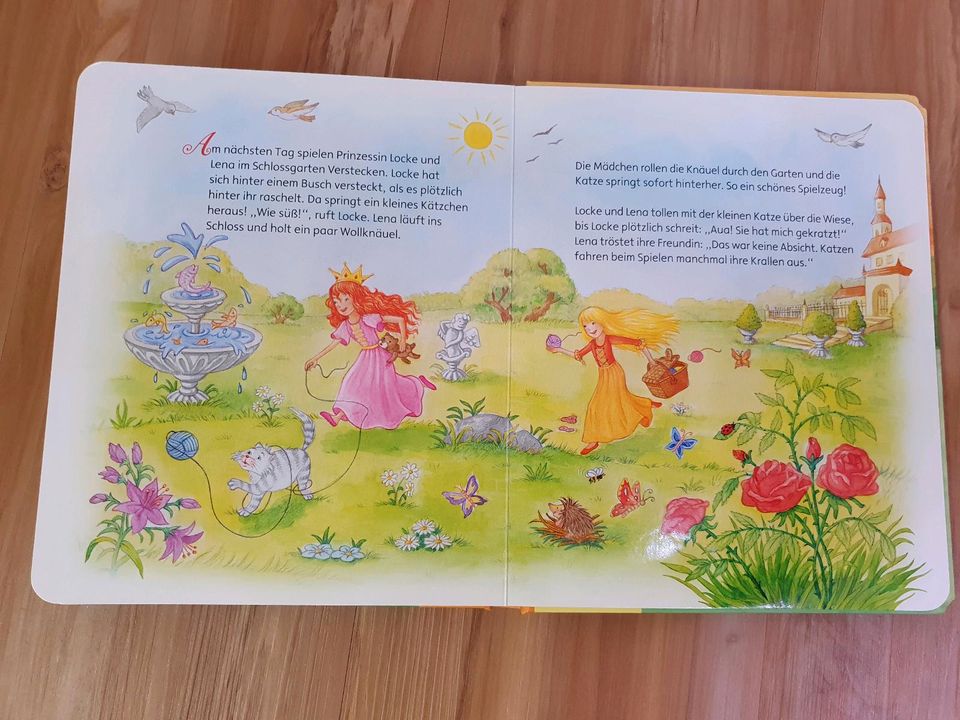 Buch Die kleine Prinzessin Kinderbuch in Heidelberg