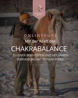 Chakrabalance für Pferde - Online Kurs Sachsen - Malschwitz Vorschau