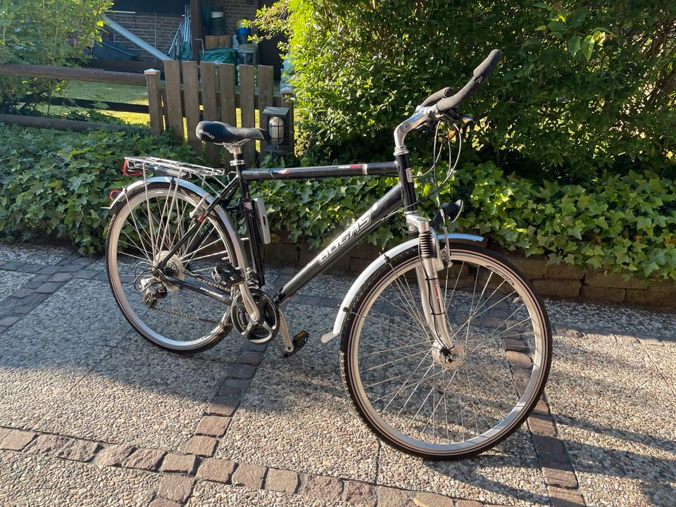 Herren Fahrrad Bocas Trekking TX300 24 Gänge mit Bügelschloss in Hannover