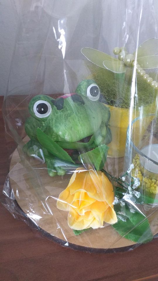 Deko Geschenkset Frosch Libelle Teelicht in Bergweiler