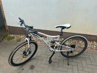 Bergsteiger Mountainbike 26‘‘ Kodiak Brandenburg - Elsterwerda Vorschau