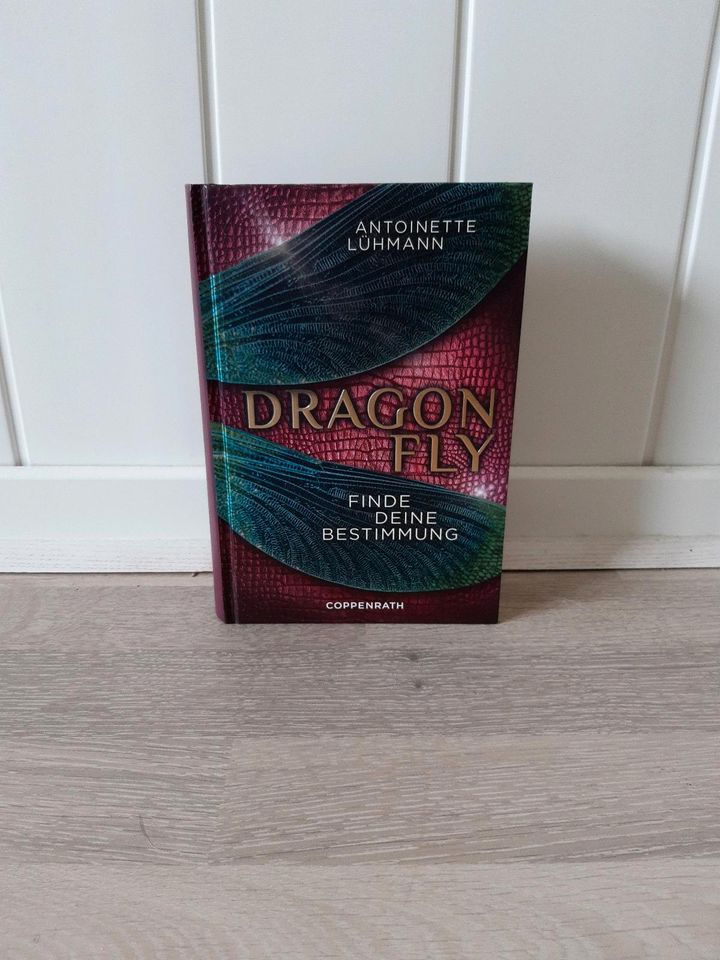 Dragon Fly. Finde deine Bestimmung. Coming of Age Fantasy Buch in Flensburg