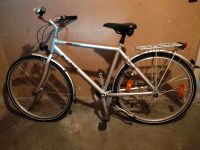 Fahrrad, Alurad, 28 Zoll, Bike, Citybike, silber, 7 Gang Bayern - Kronach Vorschau