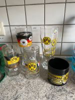 BVB Gläser und Tasse Nordrhein-Westfalen - Erwitte Vorschau