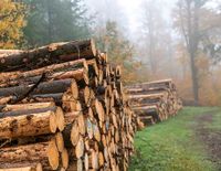 Brennholz zu verkaufen Baden-Württemberg - Gemmrigheim Vorschau