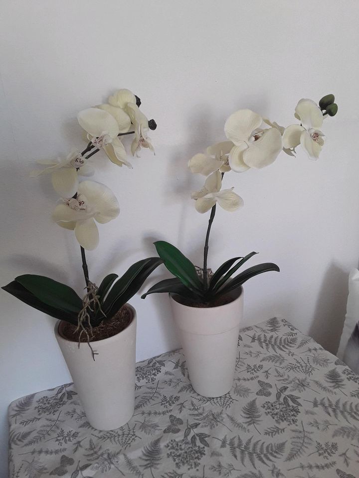 Künstliche Orchideen Kunstblumen weiß in Berlin - Köpenick | eBay  Kleinanzeigen ist jetzt Kleinanzeigen