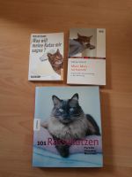 Katzenbücher Hessen - Bad Salzschlirf Vorschau