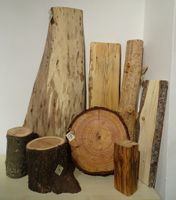 Schaufenster Dekoration Natur Holz Baumscheiben Äste Stamm Rinde Sachsen - Plauen Vorschau