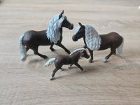 Schleich Pferde Set  3-teilig Nordrhein-Westfalen - Kirchlengern Vorschau