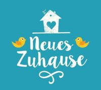 Suche Haus oder Wohnung zur Miete oder zum Mietkauf Schwerin - Altstadt Vorschau