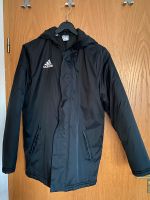 Stadionjacke adidas Bayern - Markt Schwaben Vorschau