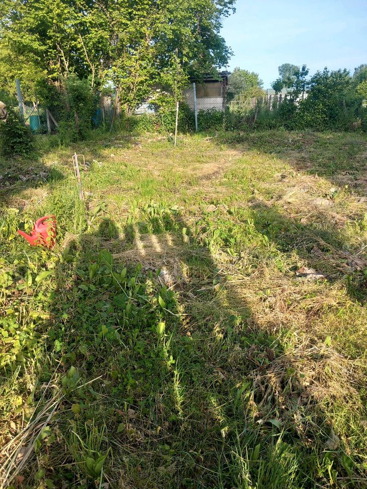 Parzelle in der Zuchtanlage in Wittislingen