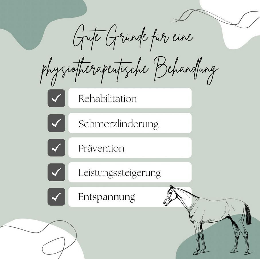Pferdephysiotherapie, Pferde- & Ponywellness, Bewegungstherapie in Dortmund
