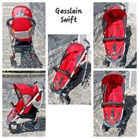 Buggy Gesslein Swift Bayern - Gundelfingen a. d. Donau Vorschau