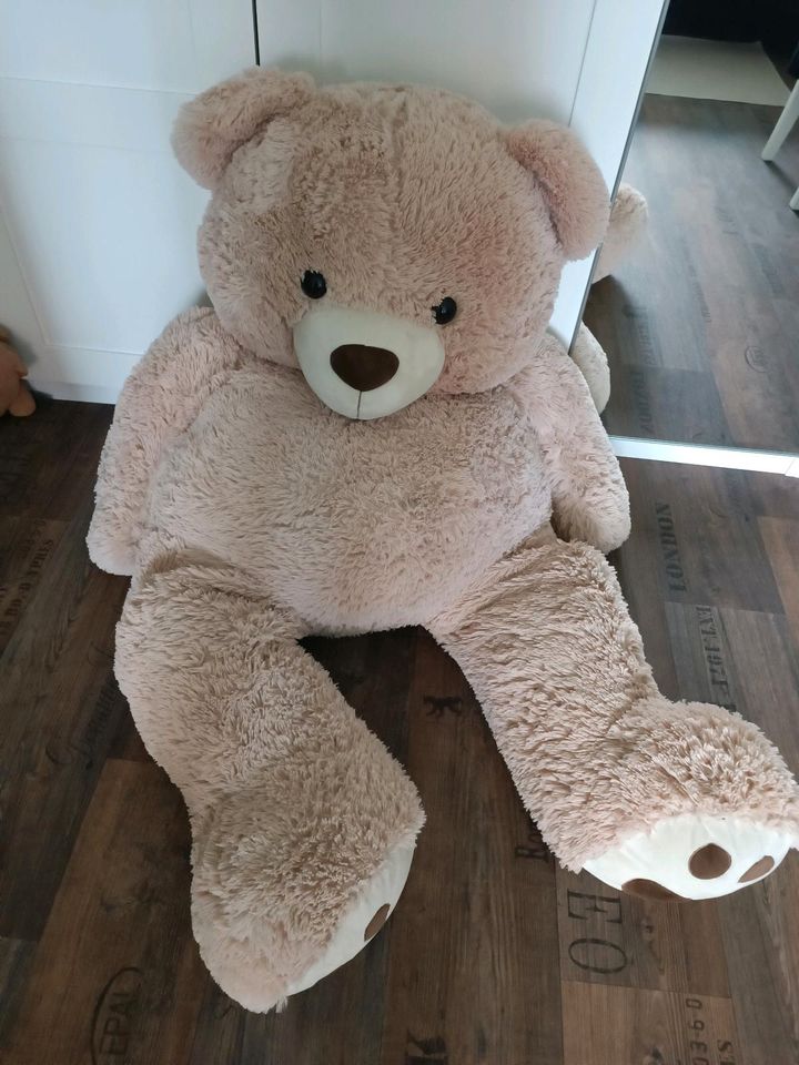 Riesen Teddy in Hamburg