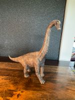 Brachiosaurus Schleich Dino Hessen - Wetzlar Vorschau