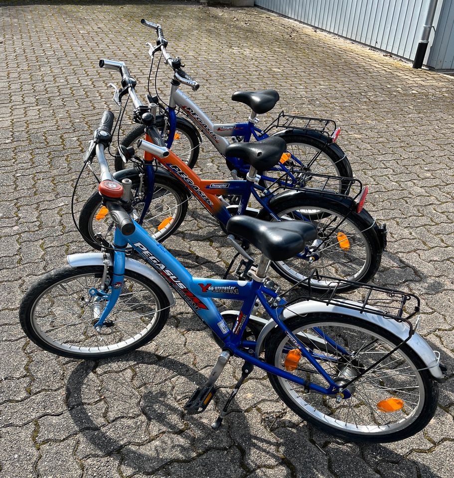 Pegasus 21 Zoll Kinderfahrrad, 3-Gang in Kandern