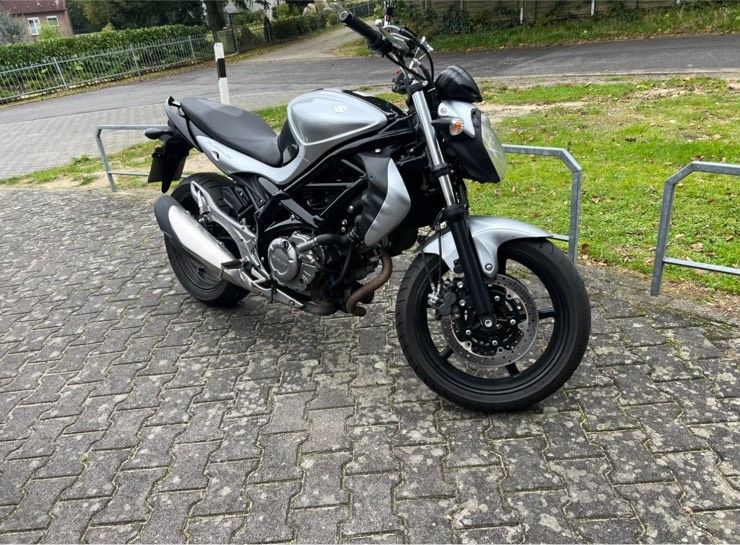 Suzuki Gladius SV650 in Börger