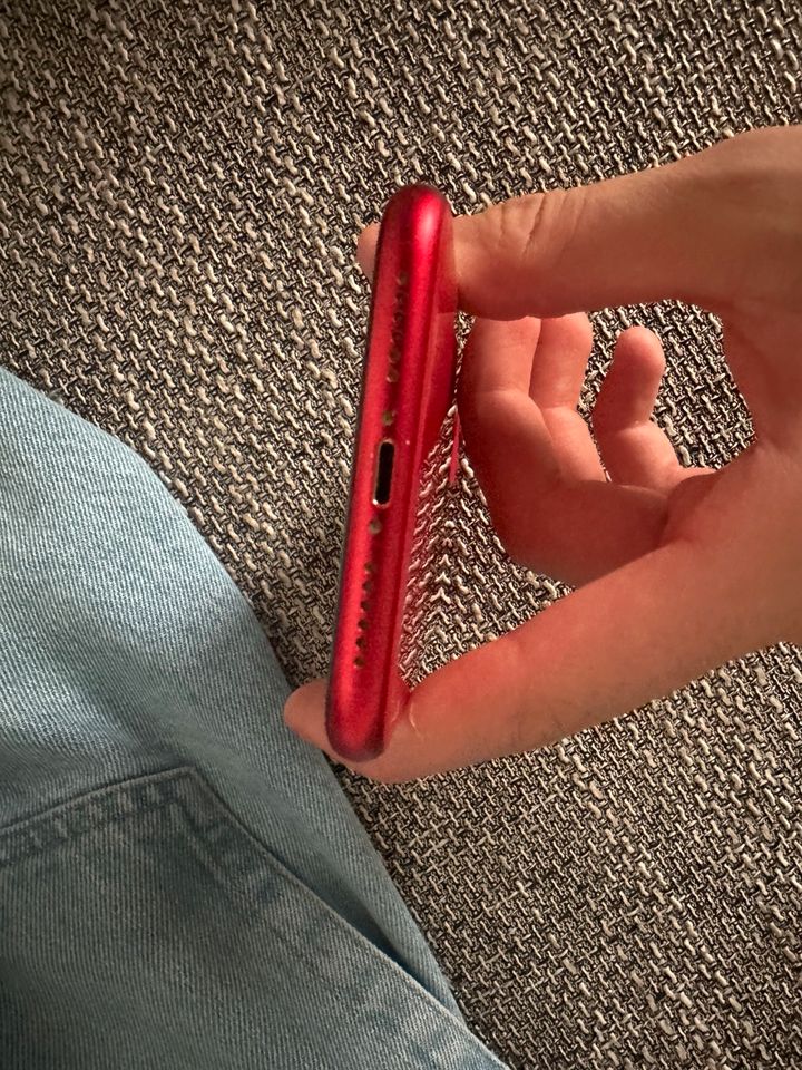 Iphone 11 (rot) in Dassel