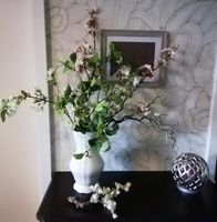 Seidenblüten *Blumen *Blüten Zweige *Frühlings Sträuße * ab 4€ Leipzig - Leipzig, Zentrum Vorschau