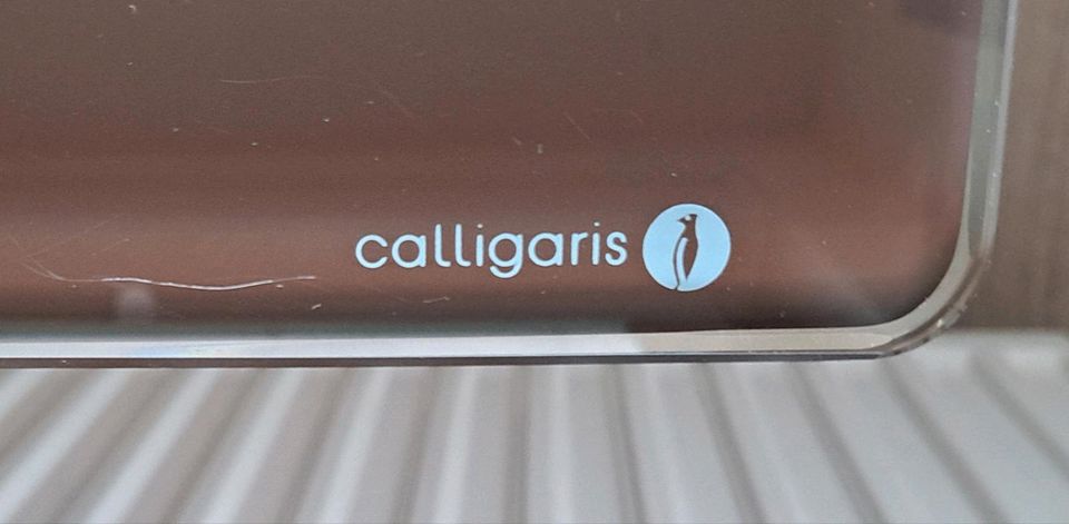 Calligaris Designertisch, Esstisch, Glastisch in Siegen