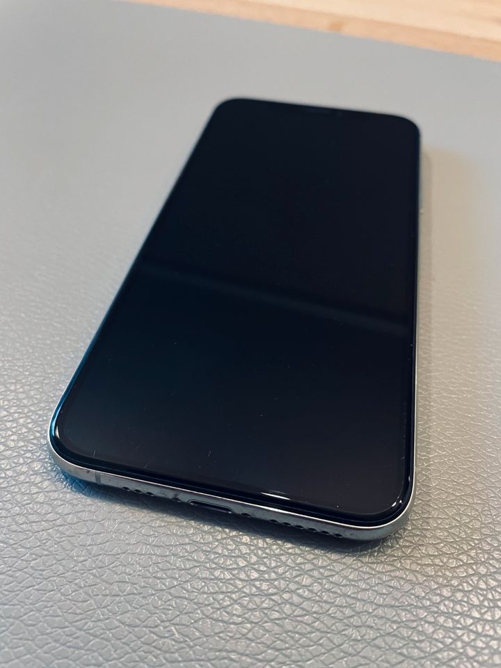 iPhone XS / 256 GB / silber / Akku 79% / Backcover gesprungen in Eisenberg 