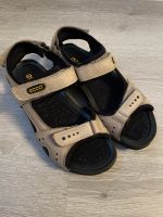 Sandalen Ecco gr.37 Nordrhein-Westfalen - Solingen Vorschau